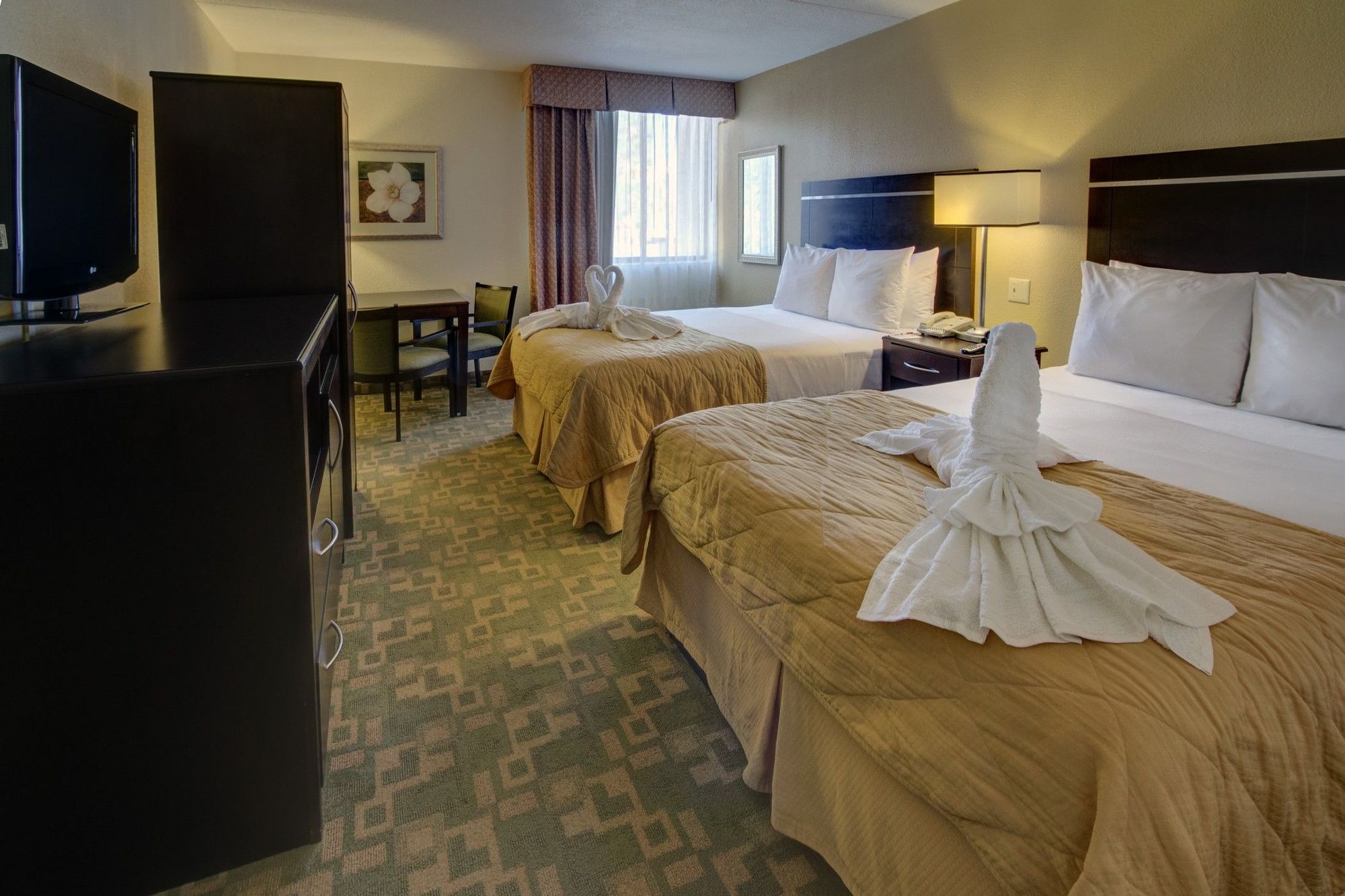 Clarion Inn & Suites At International Drive Orlando Room photo